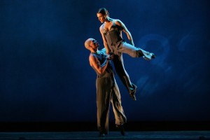 Making the switch: Diana Loosmore